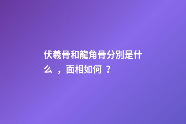 伏羲骨和龍角骨分別是什么，面相如何？
